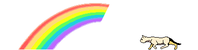 A Rainbow Walk